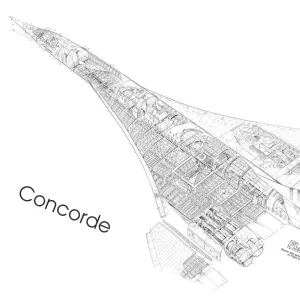 Concorde First Cutaway Drawing