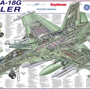 Boeing EA-18G Growler Cutaway Print Boeing EA-18G Growler Cutaway Print