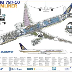 Singapore Airlines 787-10 Cutaway Print Singapore Airlines 787-10 Cutaway Print