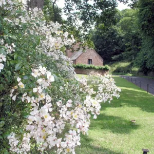 Coombe Florey, Somerset