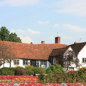 Flowerbeds at Amersham, Buckinghamshire