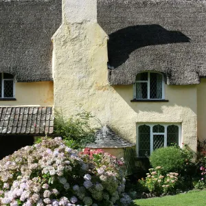 Thatched Cottage, Selworthy, Exmoor, Somerset, UK