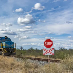 Africa, Namibia, Otjiwarongo. Train