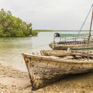 Tanzania Heritage Sites Collection: Ruins of Kilwa Kisiwani and Ruins of Songo Mnara