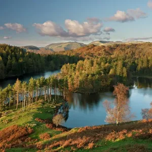 Autumn Colours at Tarn Hows Print Autumn Colours at Tarn Hows Print