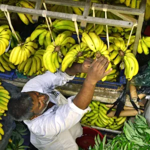 Bananas at the Big Vegetable Market, Port Louis, Mauritius, Indian Ocean