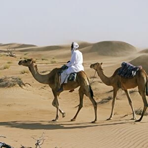 A Bedu rides his camel amongst the sand dunes in the desert