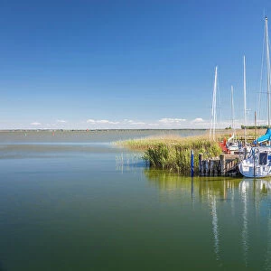 Boats in the Bodden harbour of Althagen, Mecklenburg-Western Pomerania, Baltic Sea, North Germany, Germany