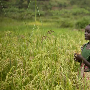 Burundi Gallery: Kayanza