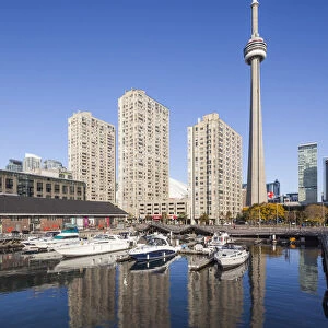 Canada, Ontario, Toronto, Harbourfront, CN Tower, morning