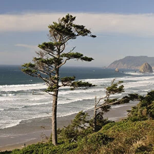 Cannon Beach, Oregon Coast, Oregon, USA