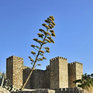 The castle of Trujillo dating back to the 9th-12th centuries stands at the highest