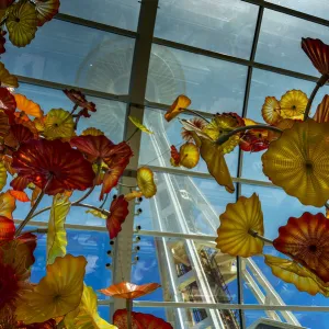 Chihuly Garden and Glass, Seattle, Washington, USA