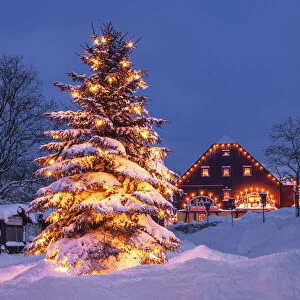 Christmas Tree in toy village Seiffen at dawn, winter, Seiffen, Ore Mountains, Saxony