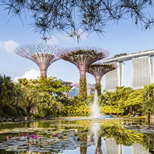 Singapore Heritage Sites Singapore Botanical Gardens