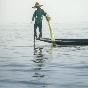 Fisherman with a fishing, Lake Inle, Nyaungshwe Township, Taunggyi District, Shan State