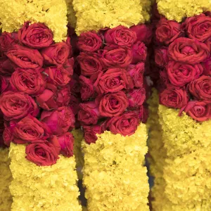 Flower garland, Little India, Singapore