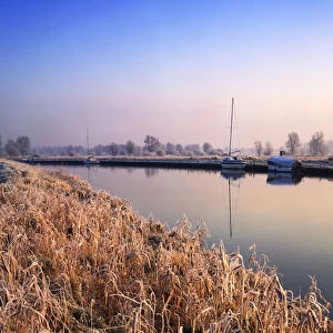 Frost along River Waveney, Gillingham Marshes, Norfolk, England