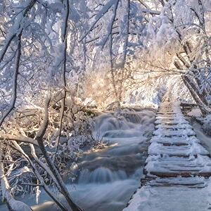 Frozen walkway of Plitvice Lakes National Park, Plitvicka Jezera, Lika and Senj County