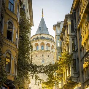 Towers Pillow Collection: Galata Tower