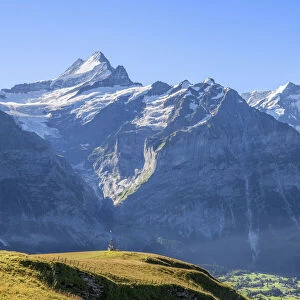 Grindelwald with Schreckhorn and Fiescherhorn, Berner Oberland, Canton Berne, Switzerland