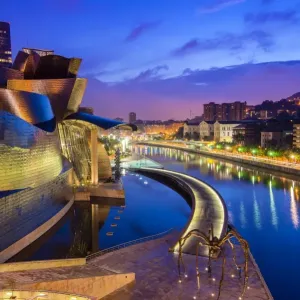 Guggenheim Museum Nighttime Print, Bilbao. Art Prints, Posters