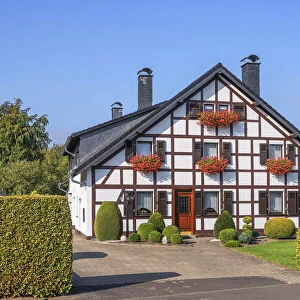 House with typical Venn hedge at Hofen, Monschau, Eifel, North Rhine Westphalia, Germany
