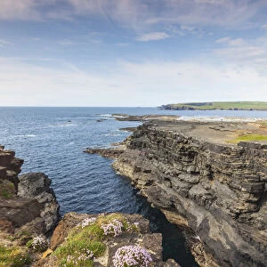 Ireland, County Clare, Kilkee, coastal cliffs