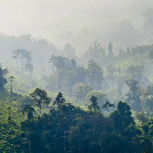 Jungle landscape along Ho Chi Minh Highway West, Phuoc Son District, Quang Nam Province