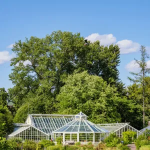 Kaisaniemi Botanical Garden, Helsinki, Uusimaa County, Finland