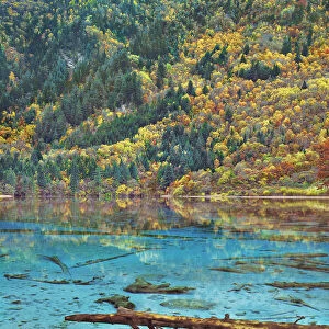 Karst lake Peacock Lake and forest in autumn - China, Sichuan, Jiuzhaigou, Peacock Lake