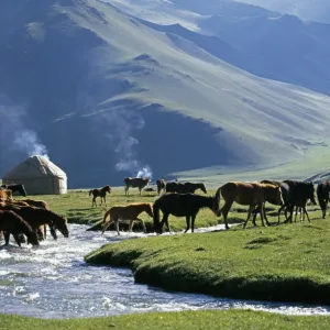 Asia Pillow Collection: Kyrgyzstan