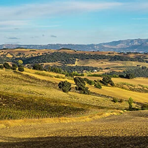 Landscape near Ronda, Andalusia, Spain