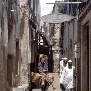 A man rides a donkey in one of the narrow streets of Lamu town