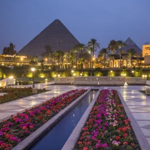 Egypt Collection: Giza