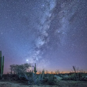 Mexico, Baja California, Catavinia stars