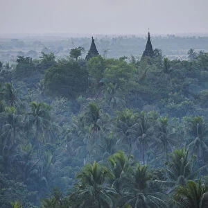 Mrauk-U, Rakhine state, Myanmar. Stupas at sunset with palm trees forest in the foreground
