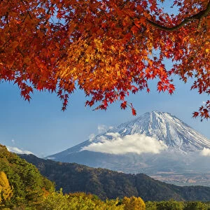 Mt. Fuji in Autumn, Fujinomiya, Shizouka, Honshu, Japan