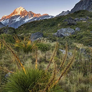 New Zealand, South Island, Aoraki-Mount Cook National Park