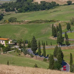 Red sports cars & winding Road lined with Cypress Trees, Tuscany, Italy