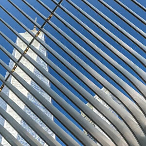 Ribs of Oculus station house designed by architect Santiago Calatrava with One World