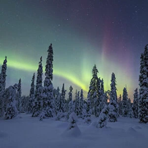 Riisitunturi in winter with Aurora Borealis, Kuusamo, Lapland, Finland