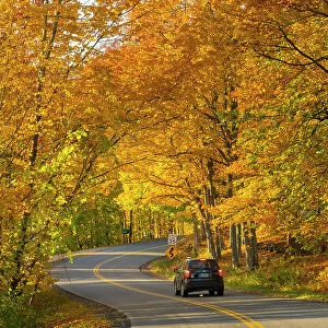Road through fores in the fall, Woodstock, Vermont, USA