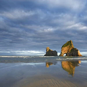 Rocky coast - New Zealand, South Island, Tasman, Golden Bay, Puponga, Wharariki Beach