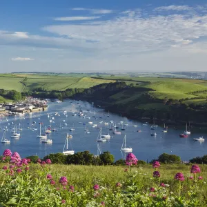 Salcombe Harbour and the Kingsbridge Estuary at sunrise, Devon, England