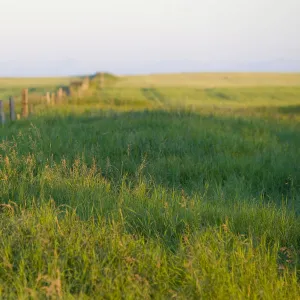 Saskatchewan, Canada. A fence on the Canadian Prairie