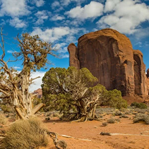 Scenic desert landscape, Monument Valley Navajo Tribal Park, Arizona, USA