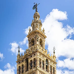 Seville cathedral - Giralda tower. Seville, Andalucia, Spain