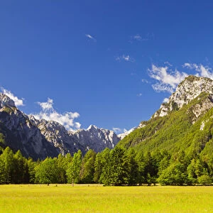 Slovenia, Gorenjska Region, Triglav National Park, Mojstrana. A view of Radovna Valley