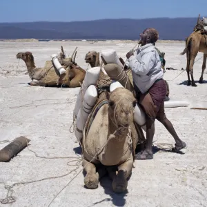 Lakes Collection: Lake Assal